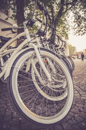 Parking bikes for rental in the city, tourismの写真素材
