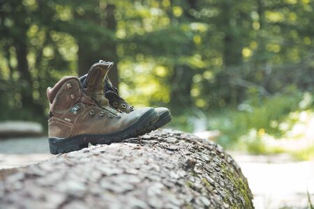 Alpine boots on a tree trunk: hiking trip in the alps, hiking holidaysの写真素材