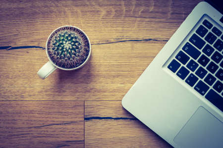 Workspace from above: Laptop and cactus on a wooden deskの写真素材