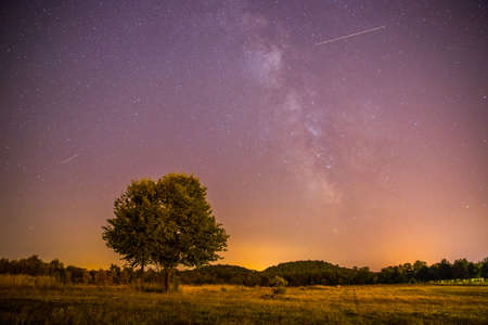 Clear purple sky with stars, lonely field and treeの写真素材