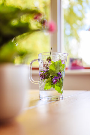 Cold jar of fresh water with delicious colorful herbsの写真素材