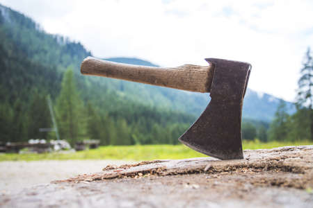 Close up of old ax attached to a tree trunk, countrysideの写真素材