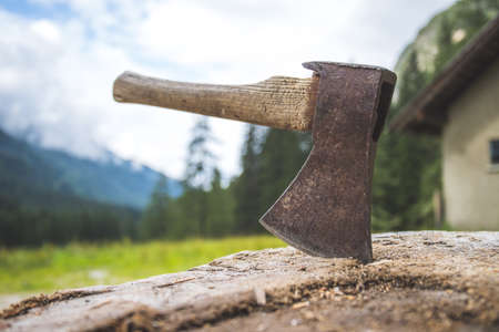 Close up of old ax attached to a tree trunk, countrysideの写真素材