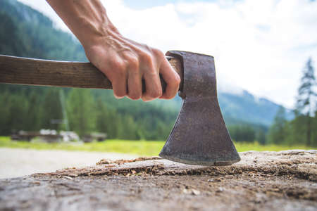 Close up of old male hand holding ax attached to a tree trunk, countryside