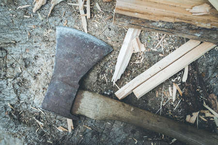 Close up of old ax attached to a tree trunk, countryside