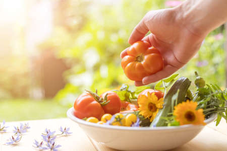 Fresh colorful vegetables in a bowl, raised in the own garden. Tomatoes, zucchini, flowers and herbs.の写真素材