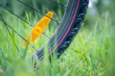 Close up picture of a mountain bike tire in the grass, summer dayの写真素材