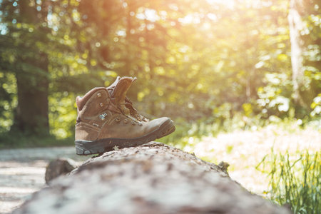Alpine boots on a tree trunk: hiking trip in the alps, hiking holidaysの写真素材