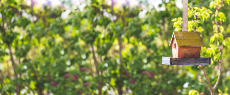 Close up of colorful wooden birdhouse hanging in the own garden; summertime. Widescreen.の写真素材