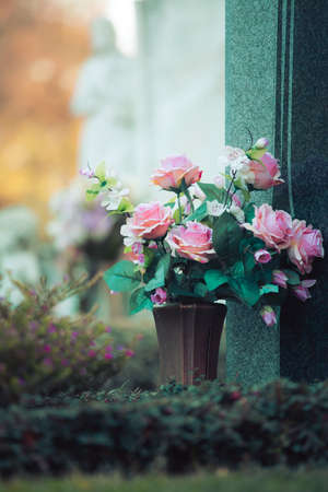 Close up of beautiful roses on a grave at a cemeteryの写真素材