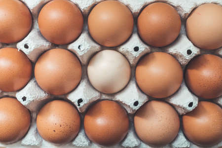 Brown eggs and one white egg in a basket.の写真素材
