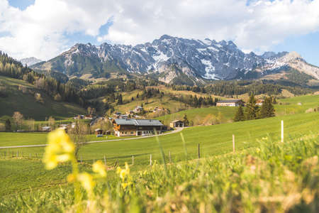 Alpine Landscape HochkÃ¶nig Mountain Range, green meadows in springの写真素材
