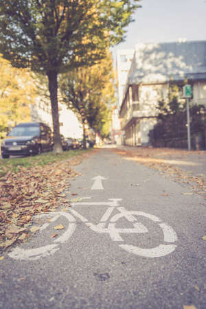 Urban cycle track, autumn with leaves on the floorの写真素材