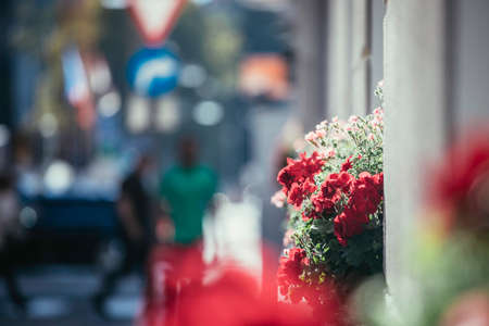 City flair on a shopping avenue in summer timeの写真素材