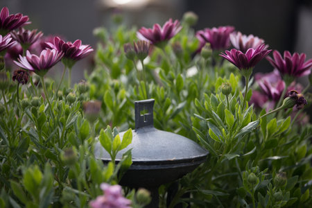 Close up of iron holy water bowl on a cemeteryの写真素材