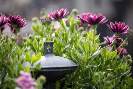 Close up of iron holy water bowl on a cemeteryの写真素材