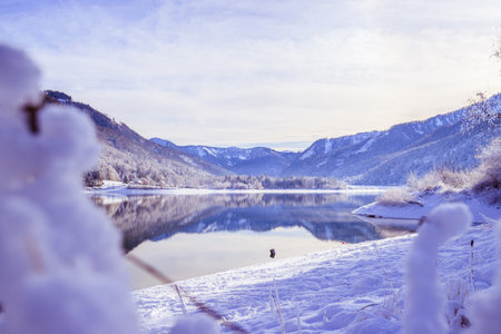 Idyllic winter landscape: Reflection lake, snowy trees and mountainsの写真素材
