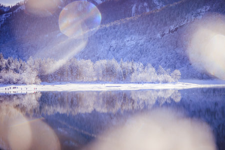Idyllic winter landscape: Reflection lake, snowy trees and mountainsの写真素材