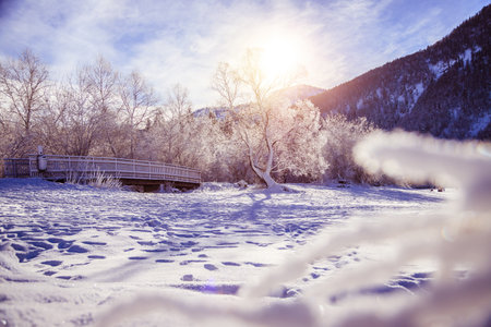 Idyllic winter landscape: wooden bridge and snowy trees, mountain range in backgroundの写真素材
