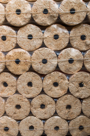 Wood briquettes for heating, packed in plastic filmの写真素材