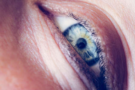 Feminine eyes, with blue iris, cut out of the face, healthcareの写真素材