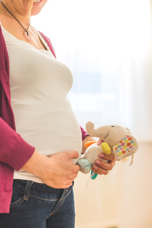 Close up of young mother holding a plush toy on her pregnant tummy, Caucasianの写真素材