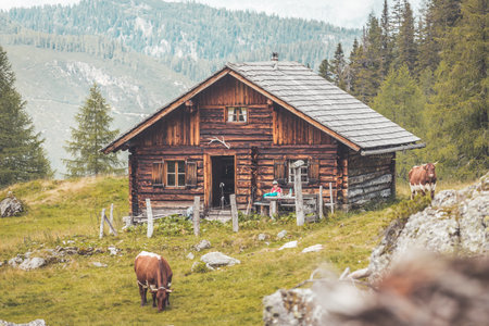 Mountain chalet in Austria: Idyllic landscape in the Alpsのeditorial素材
