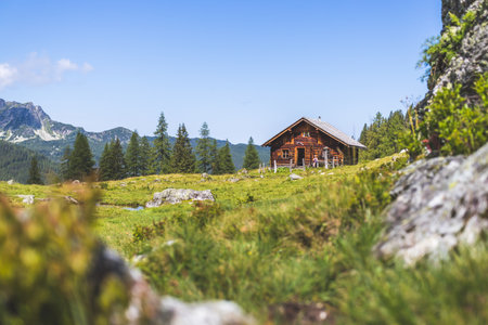 Mountain chalet in Austria: Idyllic landscape in the Alpsのeditorial素材