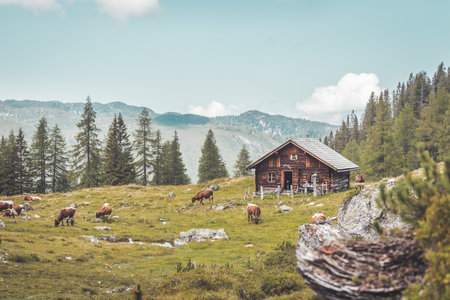 Mountain chalet in Austria: Idyllic landscape in the Alpsのeditorial素材