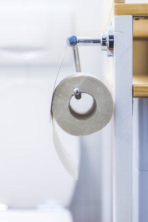 Close up of toilet paper roll on chrome hangerの写真素材