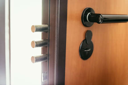 Door with theft protection, iron lockの写真素材