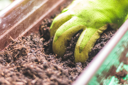 Closeup of fruitful soil for planting vegetables and herbsの写真素材