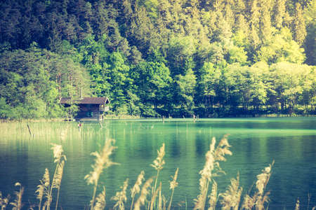 Scenic lake landscape with old boathouse, reed and forestの写真素材