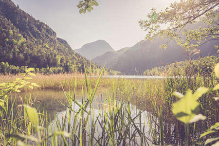 Tranquil sunset lake with reed, Thumsee, Germany