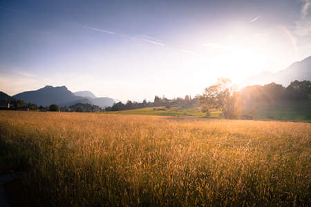 Scenic sunset view over meadow, hills and mountains.の写真素材