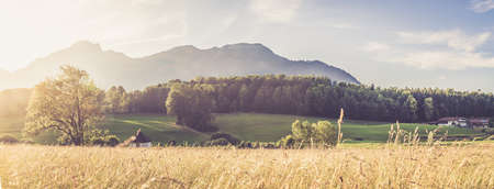 Scenic sunset view over meadow, hills and mountains.の写真素材
