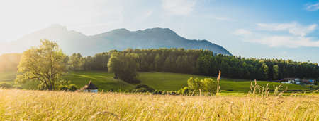Scenic sunset view over meadow, hills and mountains.の写真素材