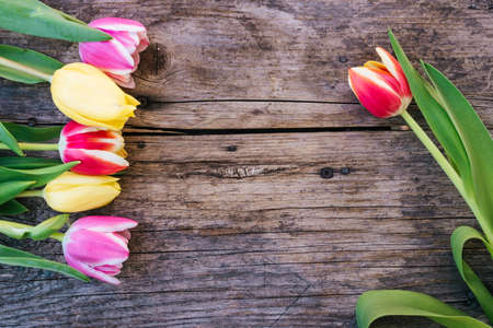Colorful spring flowers (tulips) are lying on a rustic wooden table, view from above, text spaceの写真素材