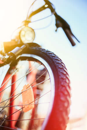 Close up picture of a mountain bike tire, summer day. Bike in the blurry background.