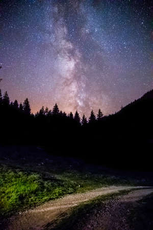 Milky way clear at night, silhouettes of treesの写真素材