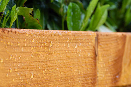 Close up of big water drops on lacquered wood after rainの写真素材