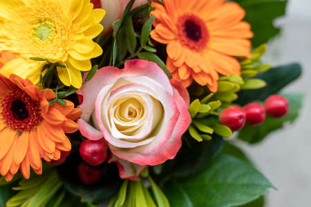 Close up of spring flower bouquet with gerbera and rosesの写真素材