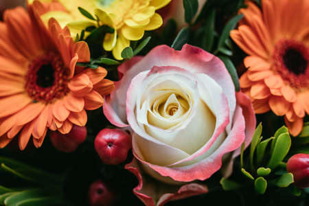 Close up of tender pink rose in a floral bouquetの写真素材