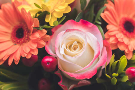 Close up of tender pink rose in a floral bouquetの写真素材