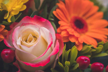 Close up of tender pink rose in a floral bouquetの写真素材