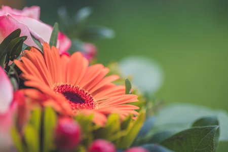 Close up of tender orange gerberas in a floral bouquetの写真素材