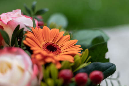 Close up of tender orange gerberas in a floral bouquetの写真素材