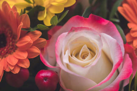 Close up of tender pink rose in a floral bouquetの写真素材