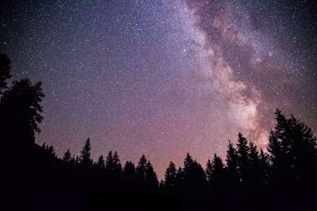 Milky way clear at night, silhouettes of treesの写真素材