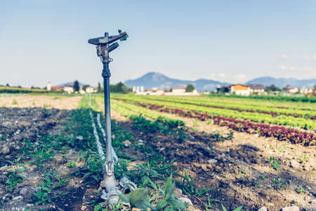 Irrigation plant on an agriculture field, summer day, soil